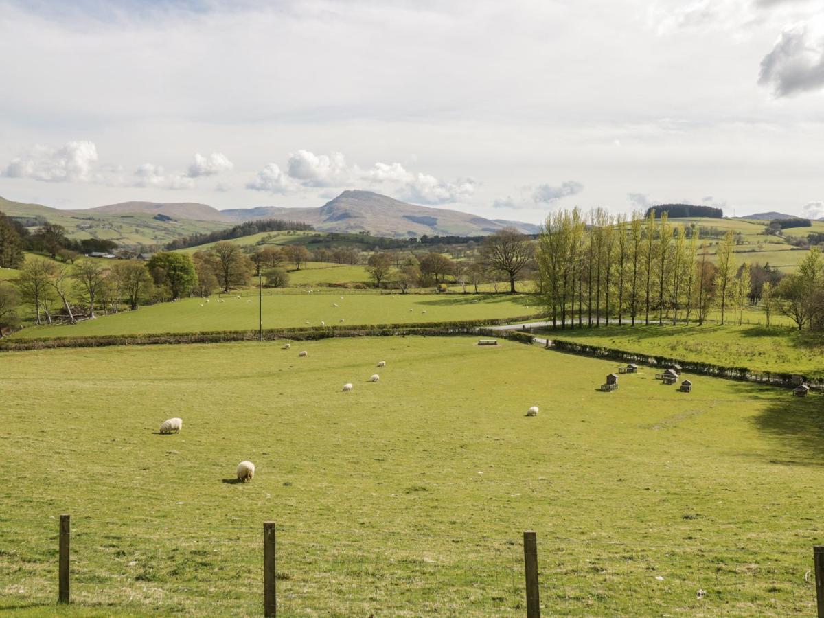 Cyffdy Cottage - Arenig Bala Exterior photo