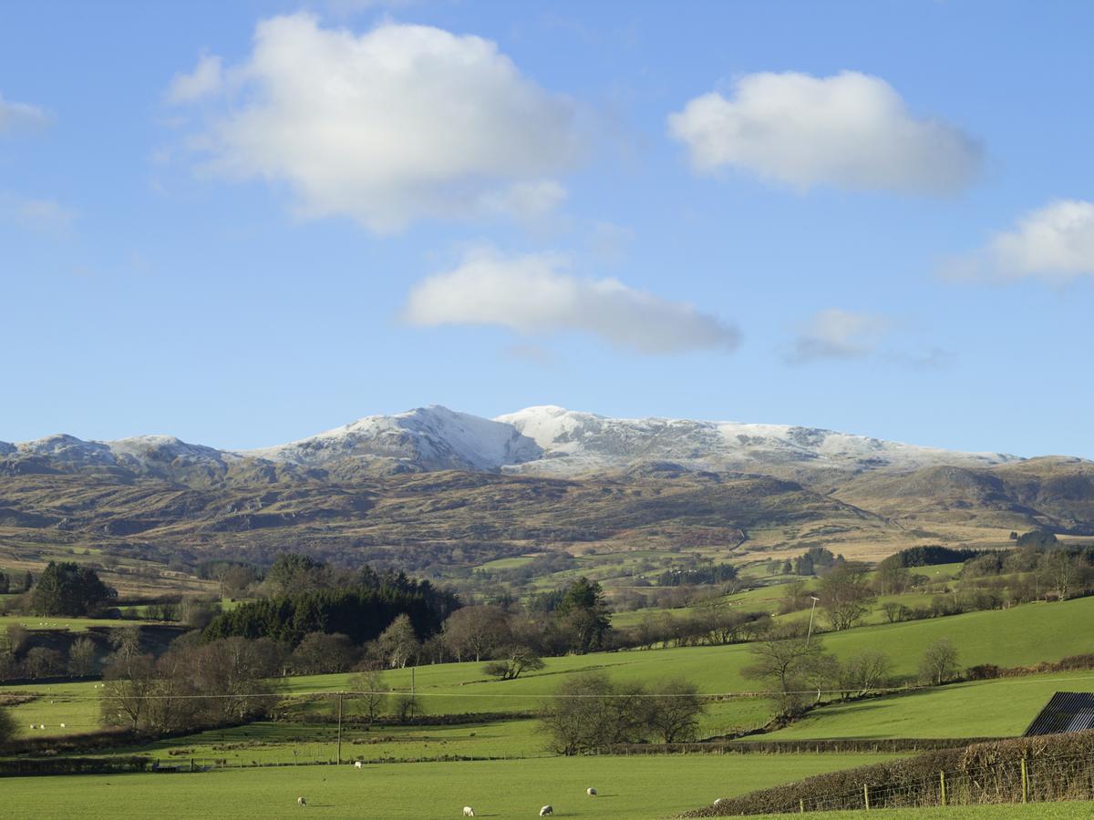 Cyffdy Cottage - Arenig Bala Exterior photo